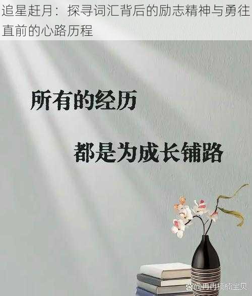 追星赶月：探寻词汇背后的励志精神与勇往直前的心路历程