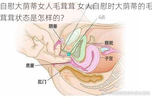 自慰大荫蒂女人毛茸茸 女人自慰时大荫蒂的毛茸茸状态是怎样的？