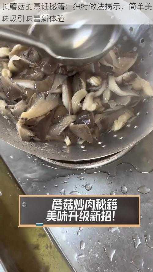 长蘑菇的烹饪秘籍：独特做法揭示，简单美味吸引味蕾新体验