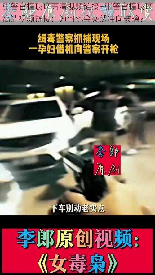 张警官撞玻璃高清视频链接—张警官撞玻璃高清视频链接：为何他会突然冲向玻璃？