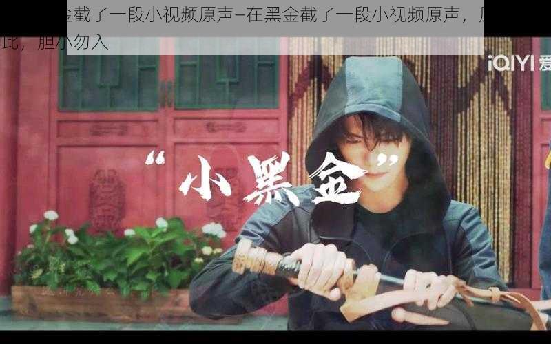 我在黑金截了一段小视频原声—在黑金截了一段小视频原声,原视频在此,胆小勿入