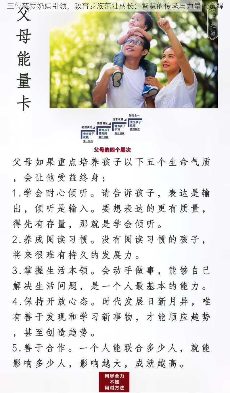 三位慈爱奶妈引领，教育龙族茁壮成长：智慧的传承与力量的觉醒
