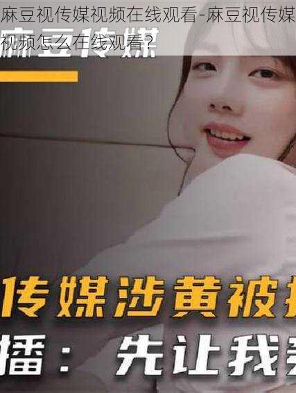 麻豆视传媒视频在线观看-麻豆视传媒视频怎么在线观看?