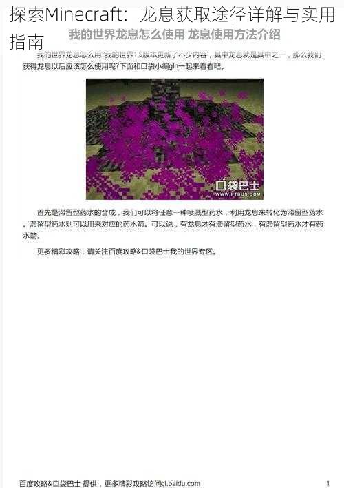 探索Minecraft:龙息获取途径详解与实用指南