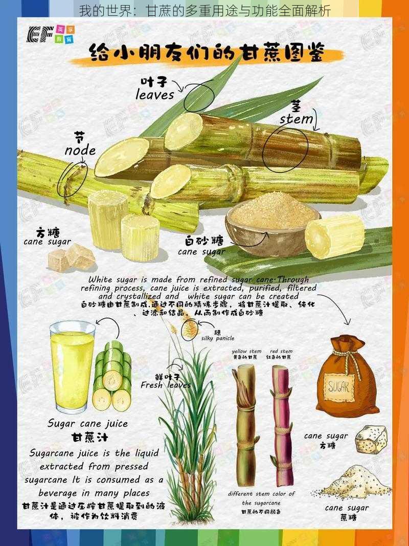 我的世界:甘蔗的多重用途与功能全面解析