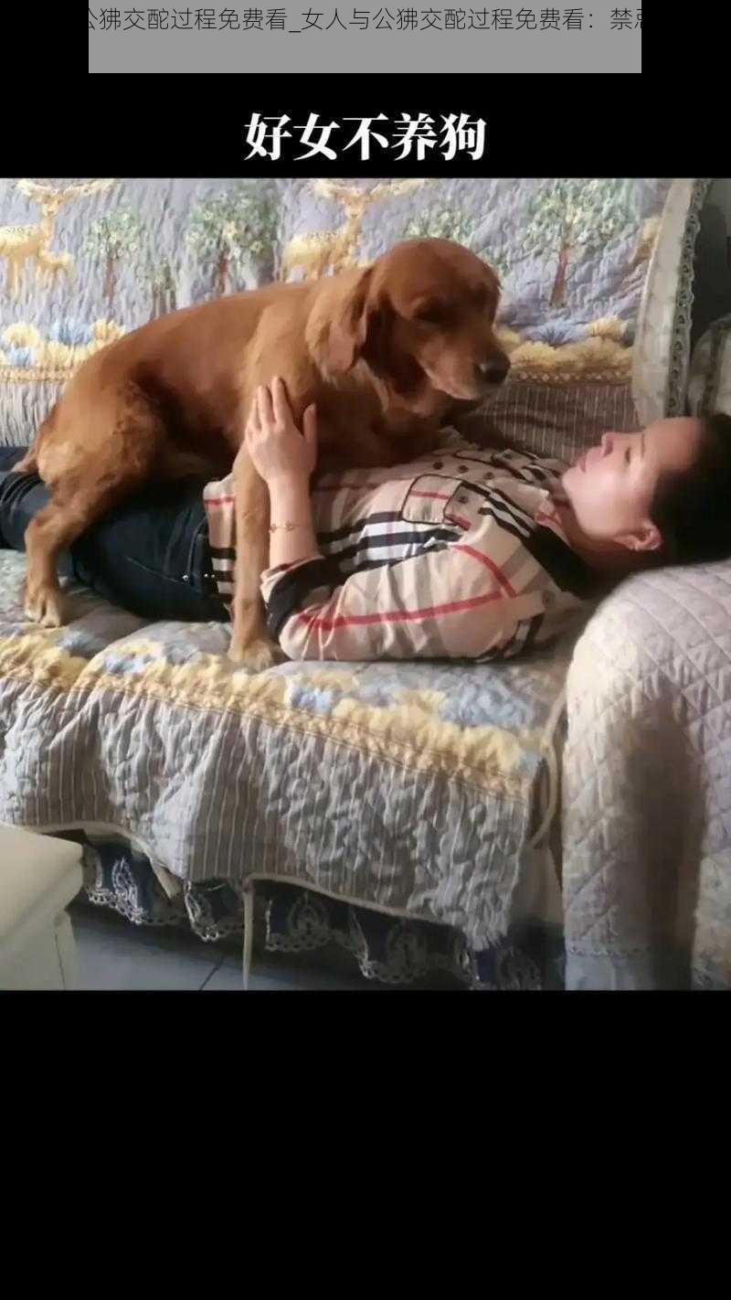 女人与公狒交酡过程免费看_女人与公狒交酡过程免费看:禁忌的性探索