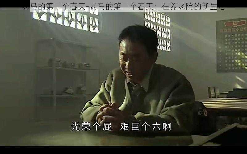 老马的第二个春天-老马的第二个春天:在养老院的新生活