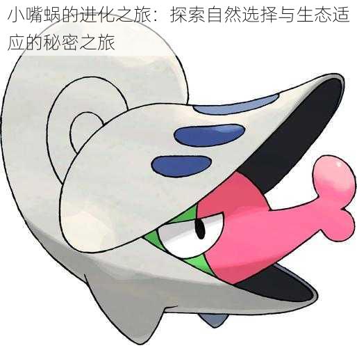 小嘴蜗的进化之旅：探索自然选择与生态适应的秘密之旅