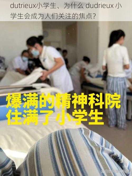 dutrieux小学生、为什么 dudrieux 小学生会成为人们关注的焦点？