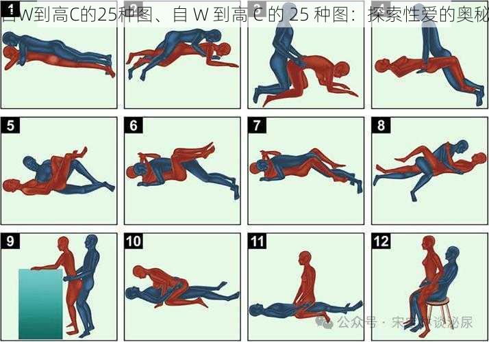 自W到高C的25种图、自 W 到高 C 的 25 种图：探索性爱的奥秘