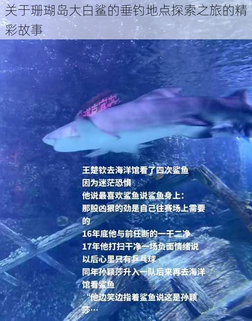 关于珊瑚岛大白鲨的垂钓地点探索之旅的精彩故事