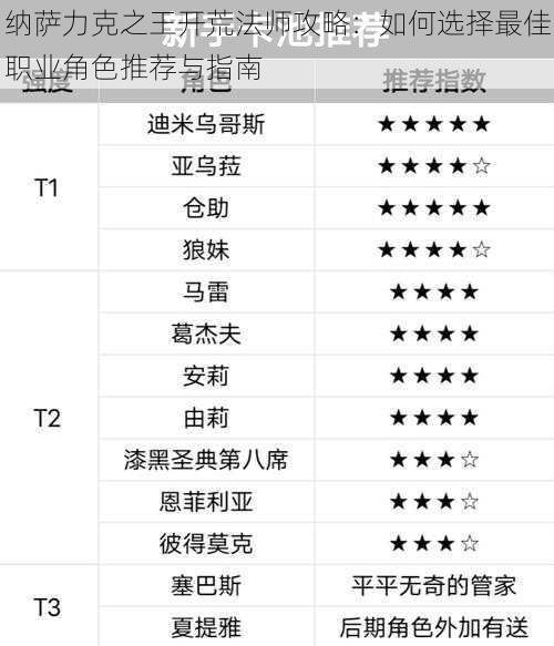 纳萨力克之王开荒法师攻略：如何选择最佳职业角色推荐与指南