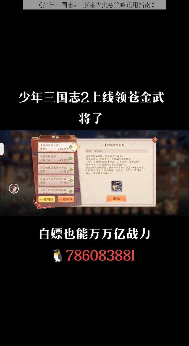 《少年三国志2：紫金太史慈策略运用指南》