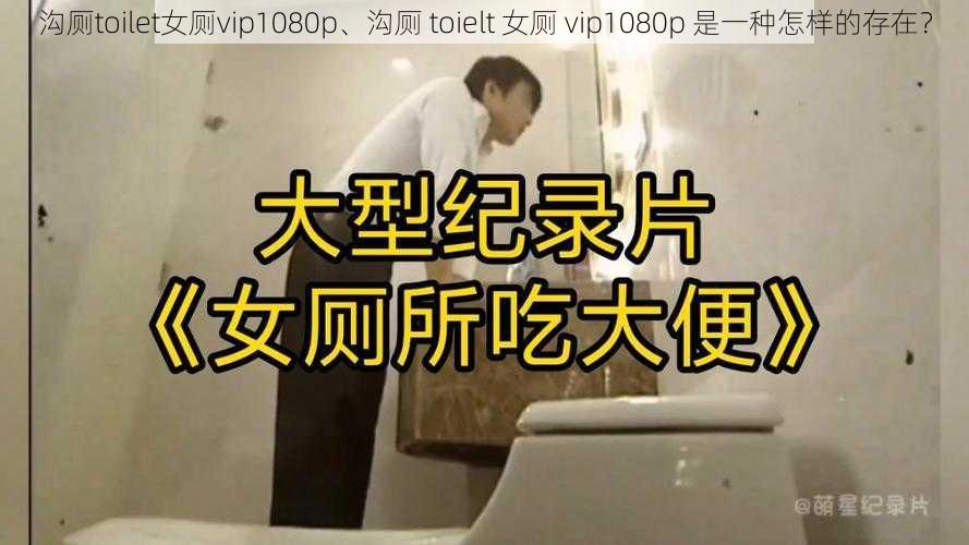 沟厕toilet女厕vip1080p、沟厕 toielt 女厕 vip1080p 是一种怎样的存在？