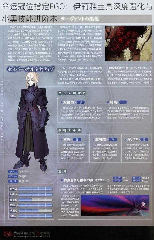 命运冠位指定FGO：伊莉雅宝具深度强化与小黑技能进阶本