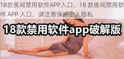 18款夜间禁用软件APP入口、18 款夜间禁用软件 APP 入口，请注意保护个人隐私