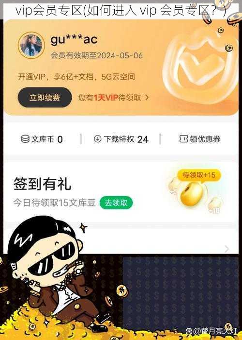 vip会员专区(如何进入 vip 会员专区？)