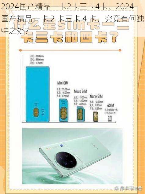 2024国产精品一卡2卡三卡4卡、2024 国产精品一卡 2 卡三卡 4 卡，究竟有何独特之处？