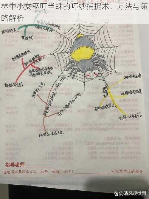 林中小女巫叮当蛛的巧妙捕捉术：方法与策略解析