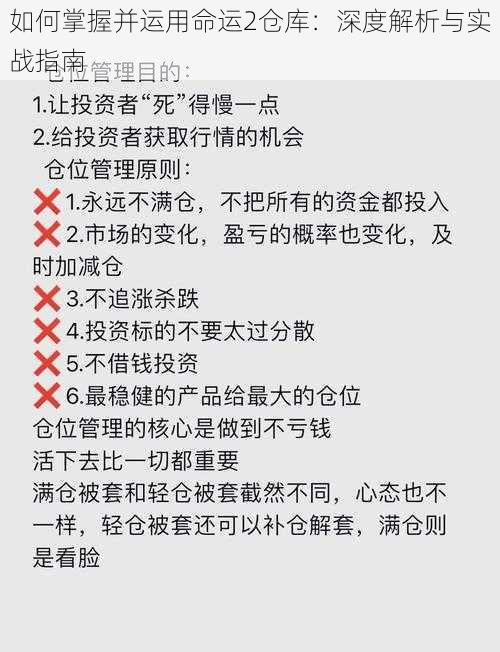 如何掌握并运用命运2仓库：深度解析与实战指南