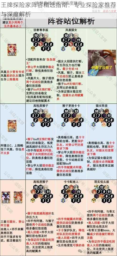 王牌探险家阵容精选指南：专业探险家推荐与深度解析