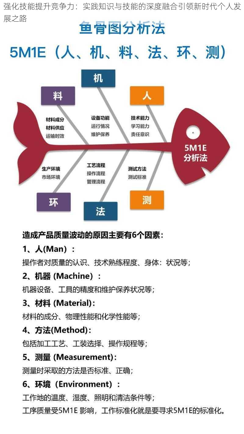 强化技能提升竞争力：实践知识与技能的深度融合引领新时代个人发展之路