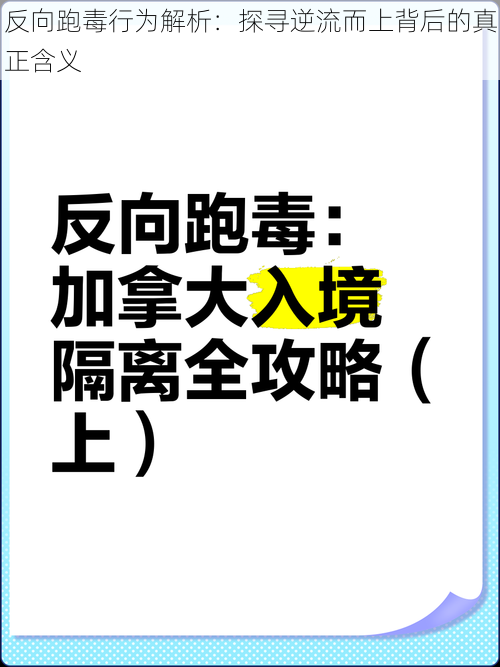 反向跑毒行为解析：探寻逆流而上背后的真正含义