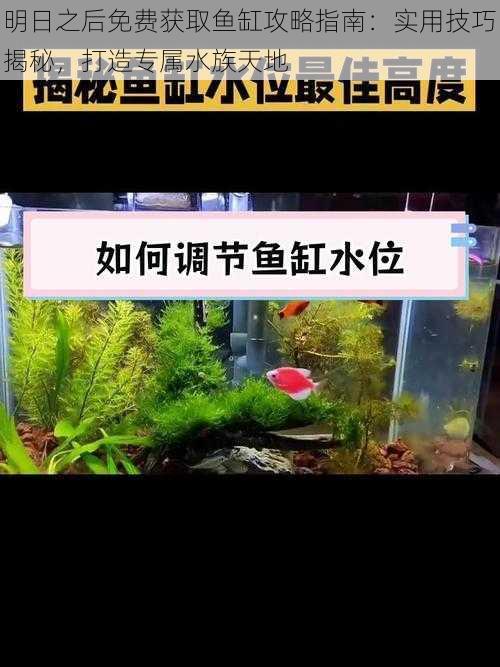 明日之后免费获取鱼缸攻略指南：实用技巧揭秘，打造专属水族天地