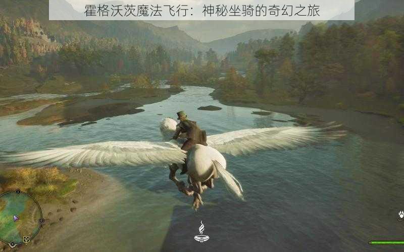 霍格沃茨魔法飞行：神秘坐骑的奇幻之旅