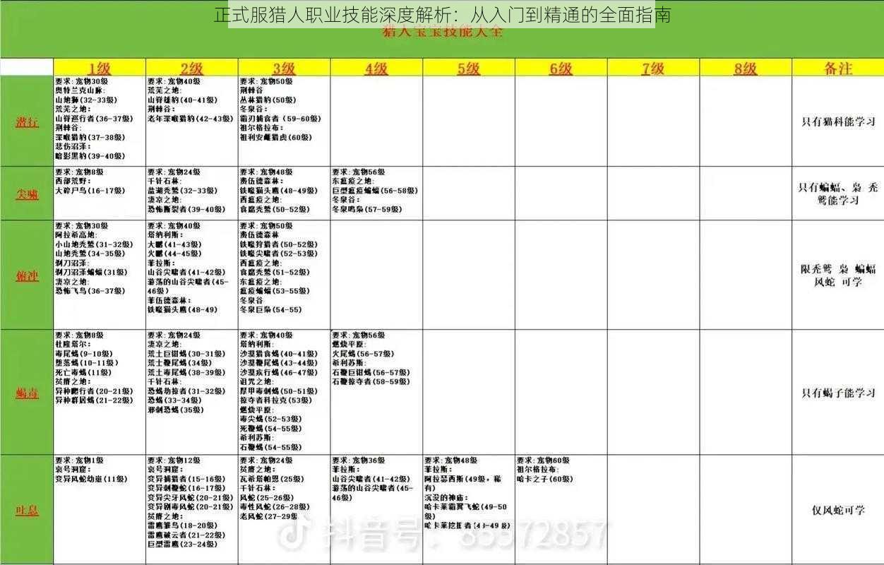 正式服猎人职业技能深度解析：从入门到精通的全面指南