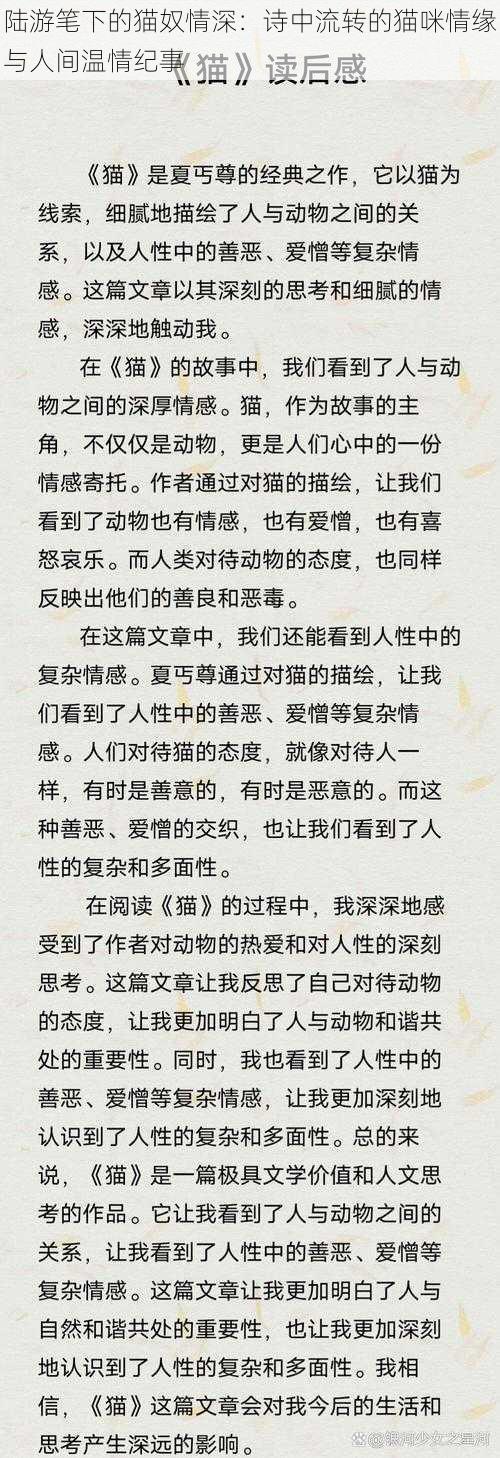 陆游笔下的猫奴情深：诗中流转的猫咪情缘与人间温情纪事