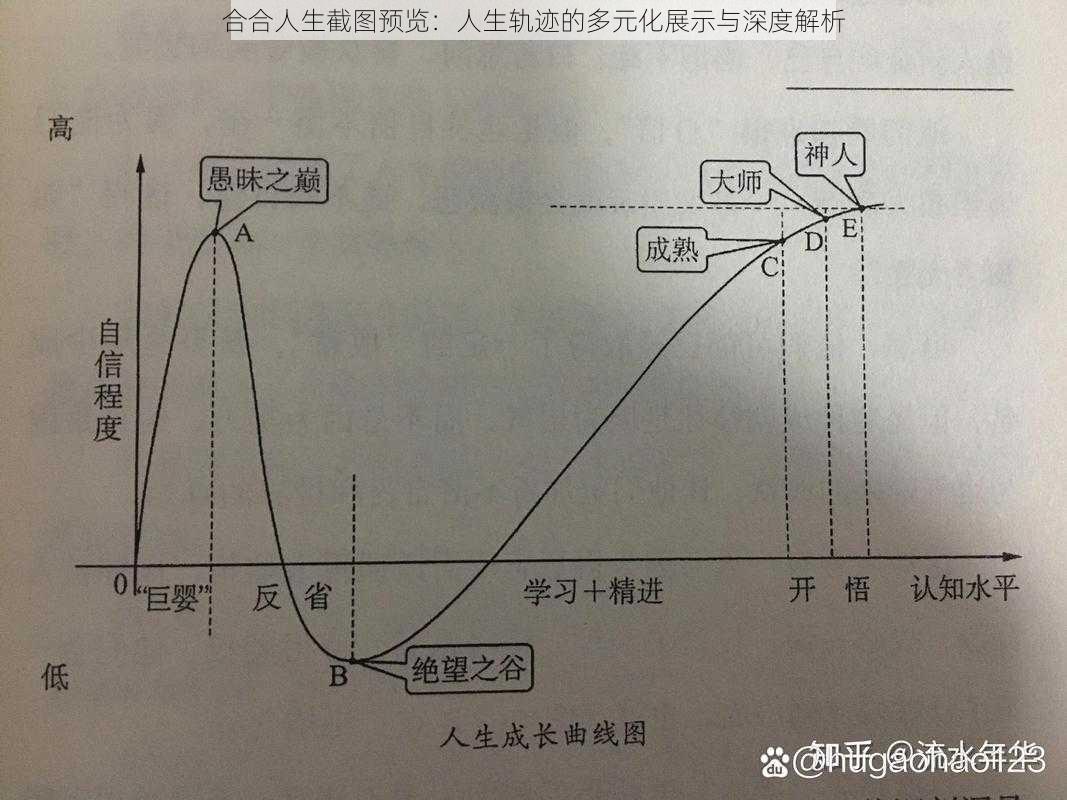 合合人生截图预览：人生轨迹的多元化展示与深度解析