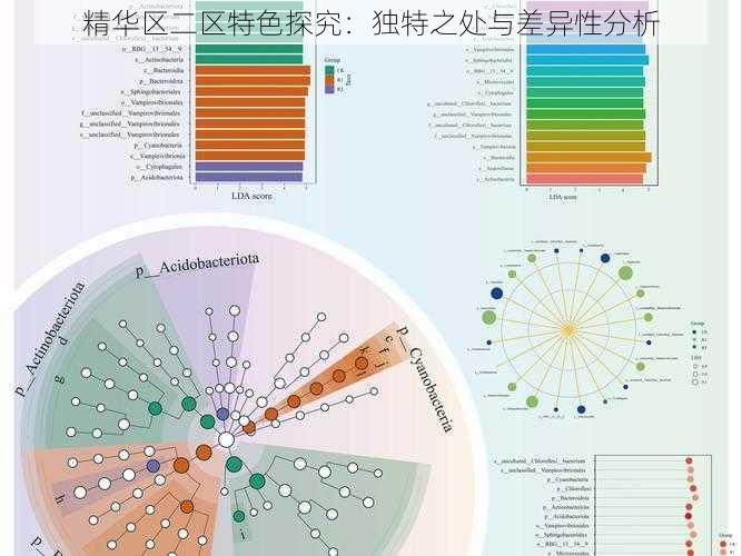 精华区二区特色探究：独特之处与差异性分析