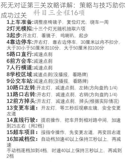 死无对证第三关攻略详解：策略与技巧助你成功过关