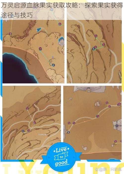 万灵启源血脉果实获取攻略：探索果实获得途径与技巧