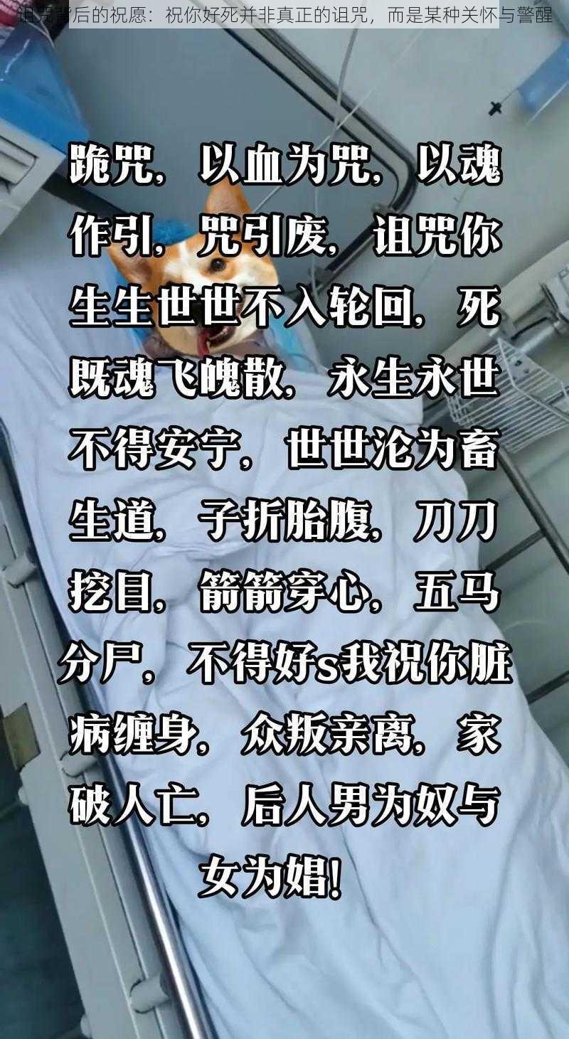 诅咒背后的祝愿：祝你好死并非真正的诅咒，而是某种关怀与警醒